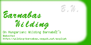 barnabas wilding business card